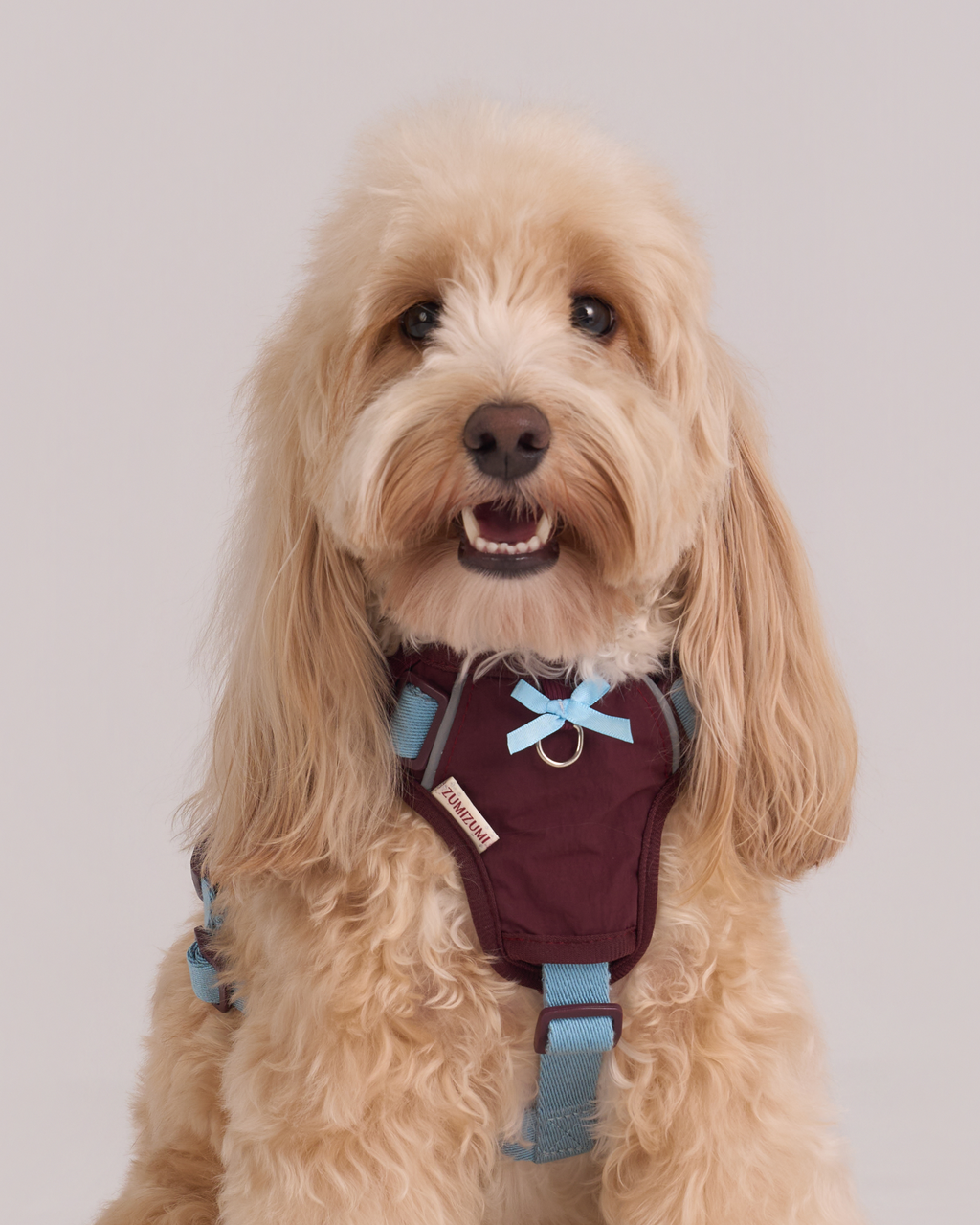 Pettorina Step-In Chelsea – Zumizumi