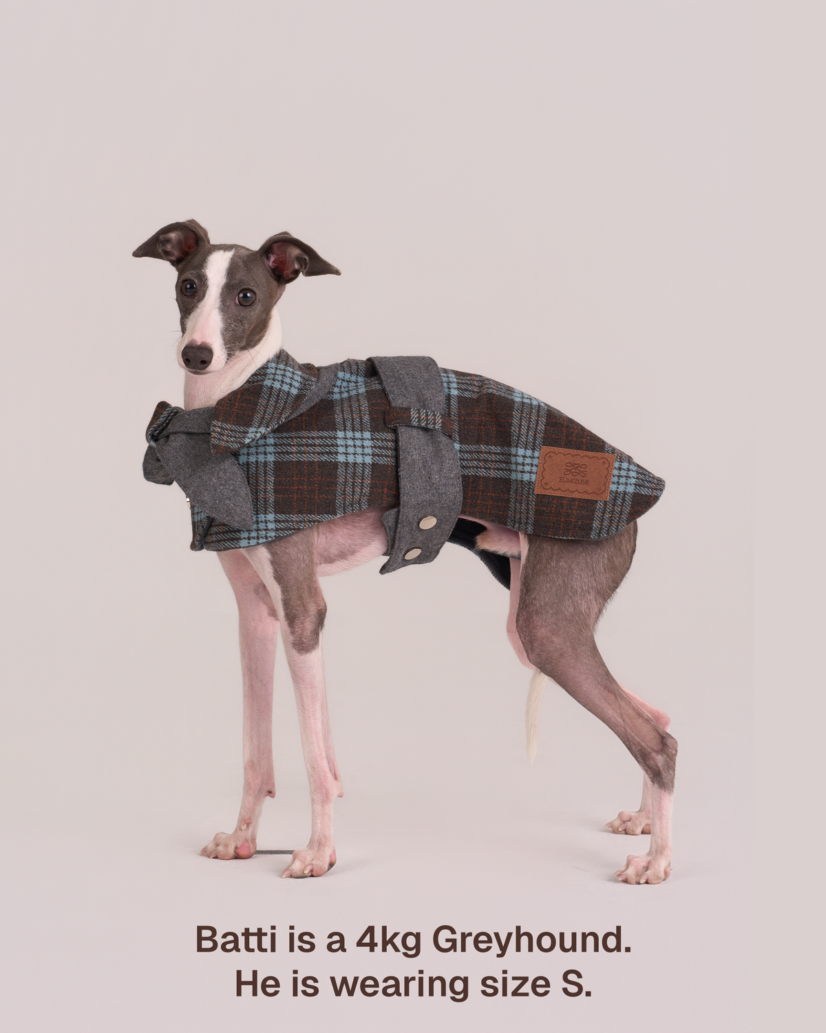 Hundemantel Sherlock