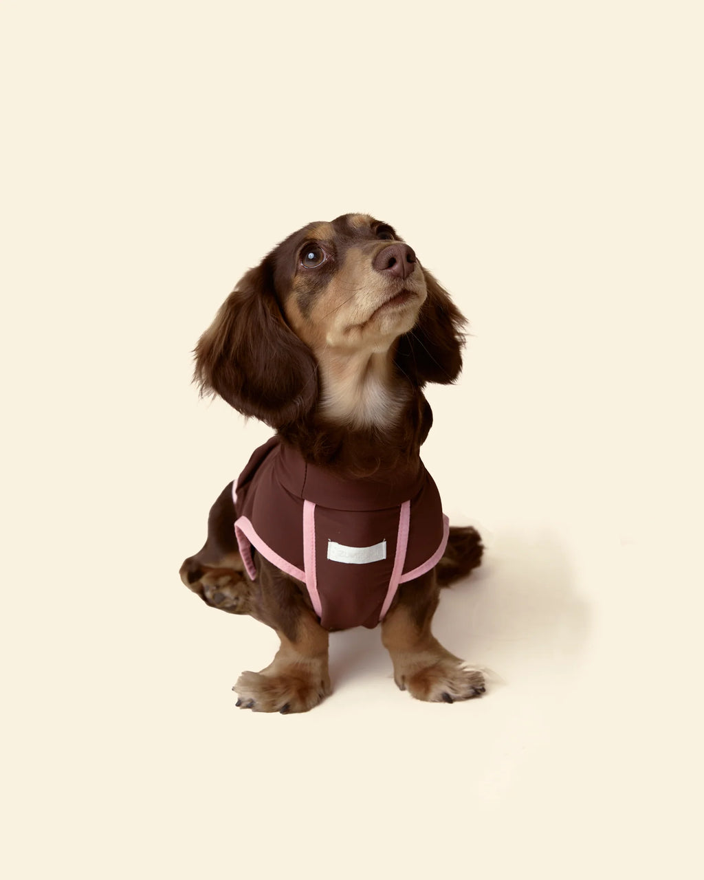 T-shirt Rinfrescante per Cani con Protezione Solare