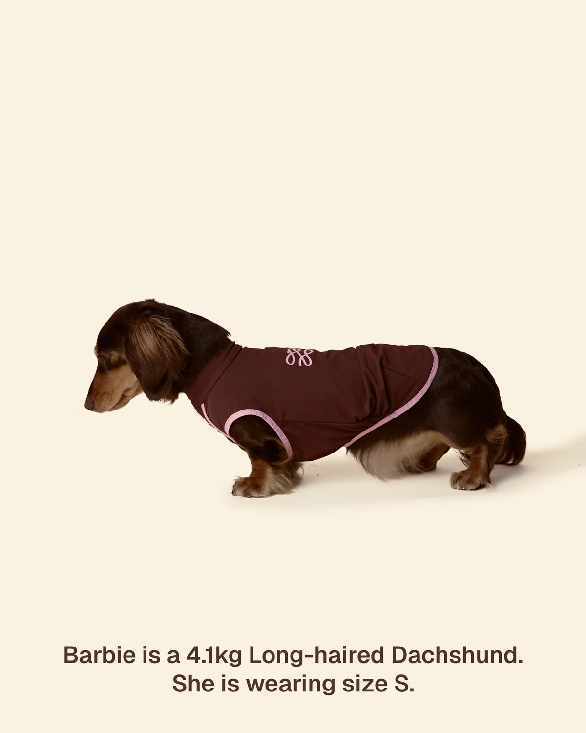 T-shirt Rinfrescante per Cani con Protezione Solare