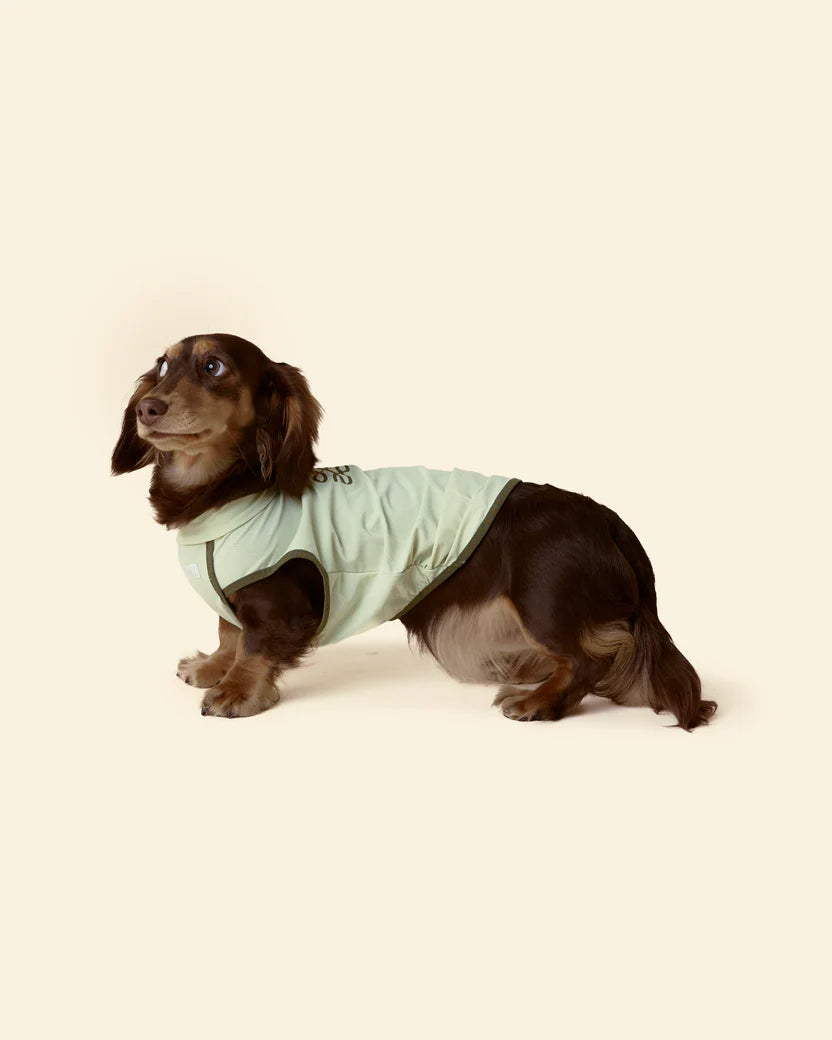T-shirt Rinfrescante per Cani con Protezione Solare