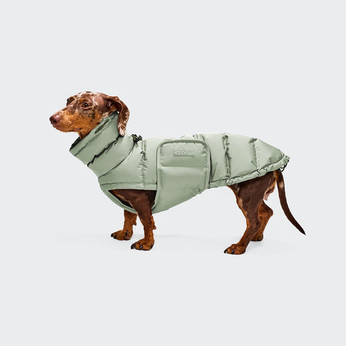 Cappotto per bassotto Alaska Dusty Mint – CLOUD7