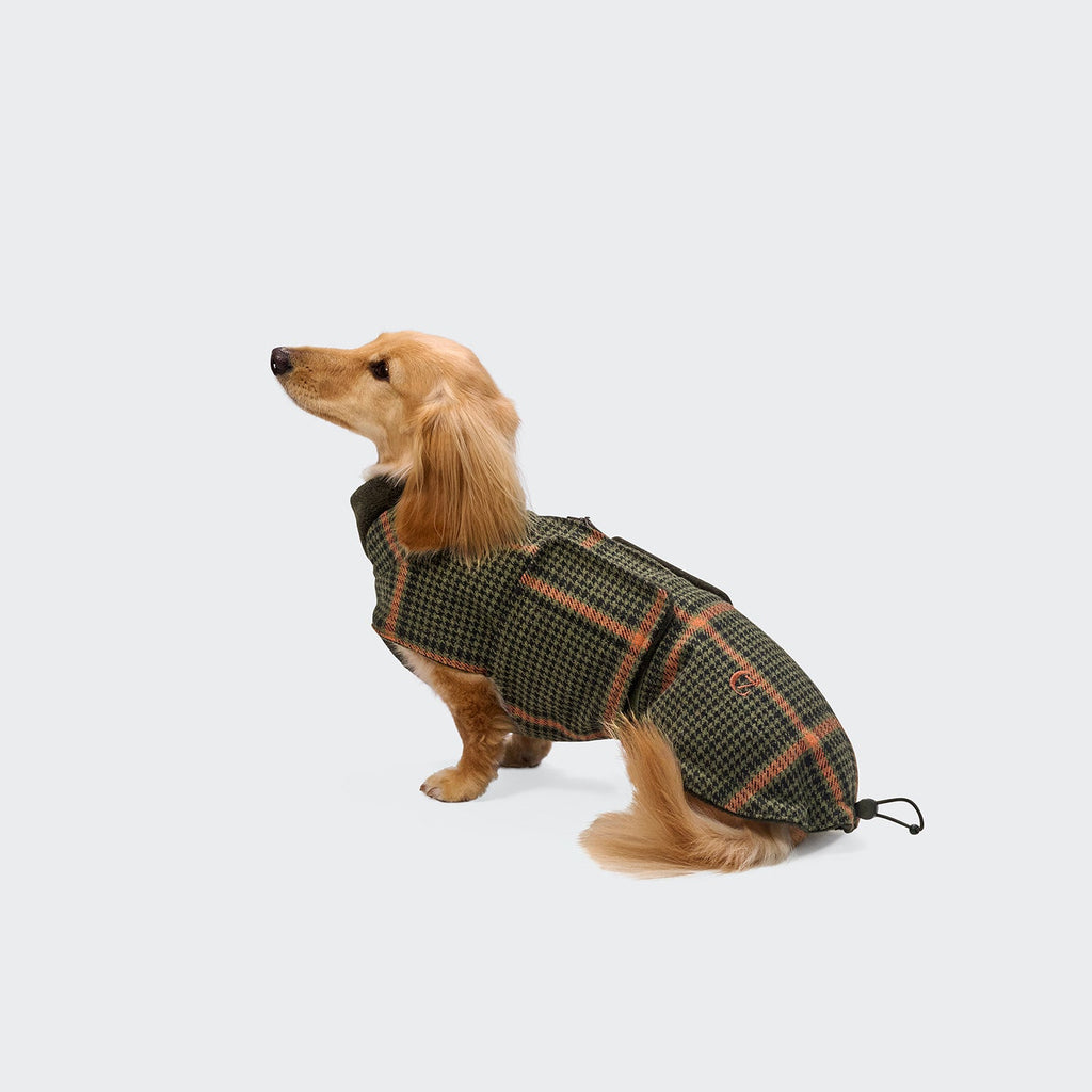 Cappotto per bassotto Brooklyn Flannel Tartan Green – CLOUD7