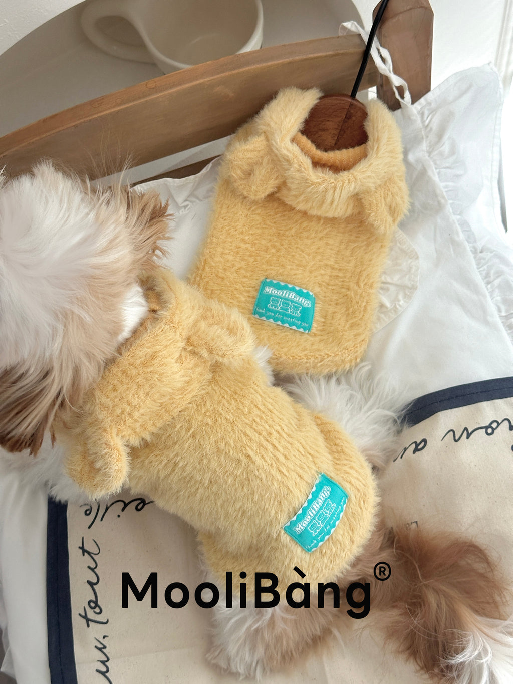 Hunde-Hoodie „Honey Bear“