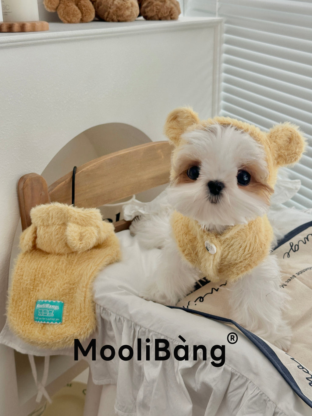 Hunde-Hoodie „Honey Bear“