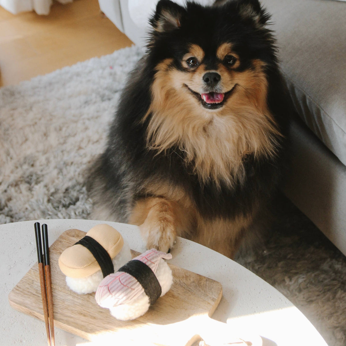 Dog Snuffle Toy with Squeaker SUSHI – Lambwolf Collective