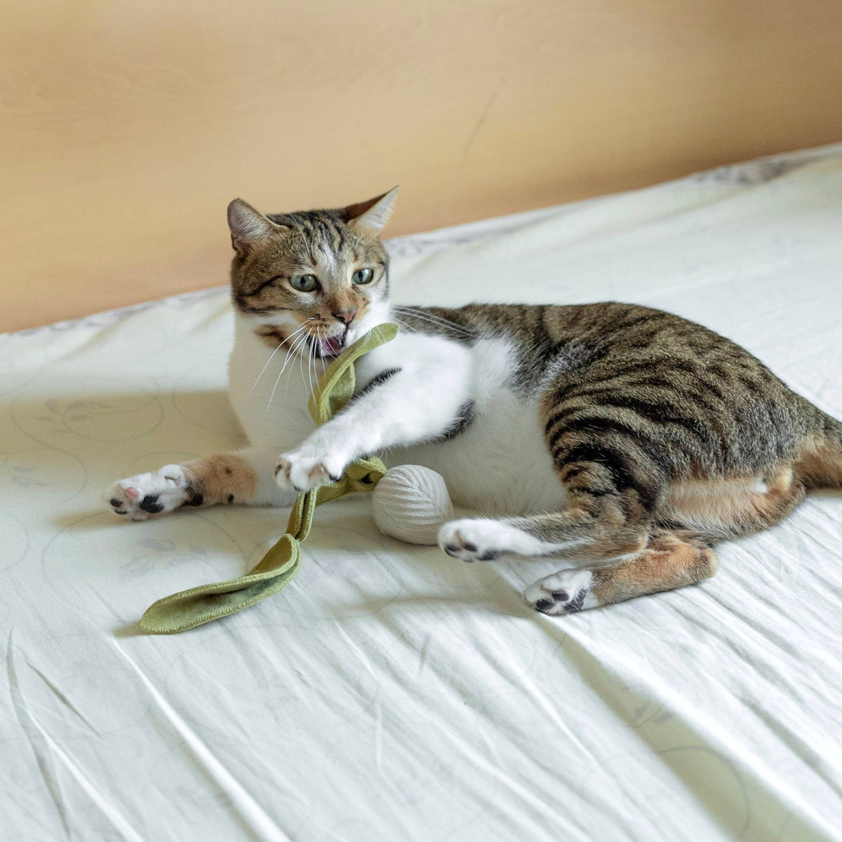 Catnip Toy KITTY RADISH Beetroot – Lambwolf Collective