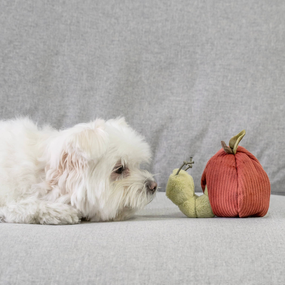 Gioco di arricchimento per cani APPLE – Lambwolf Collective