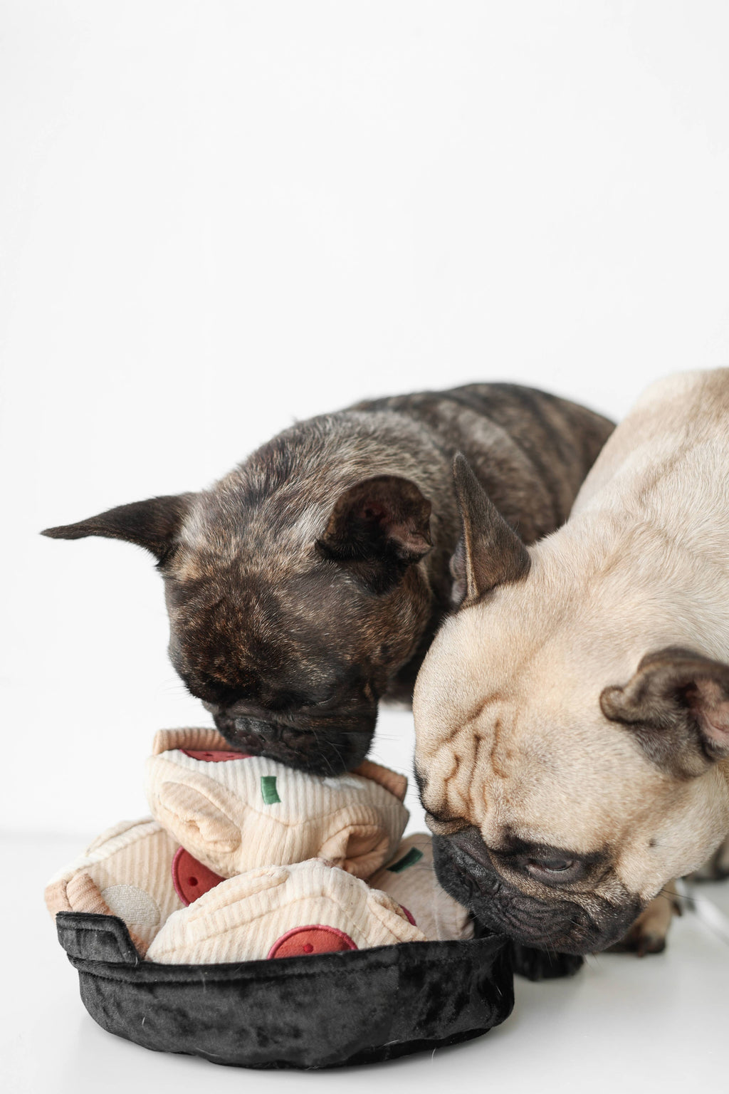 Deep Dish Pizza Snuffle Dog Toy for Enrichment
