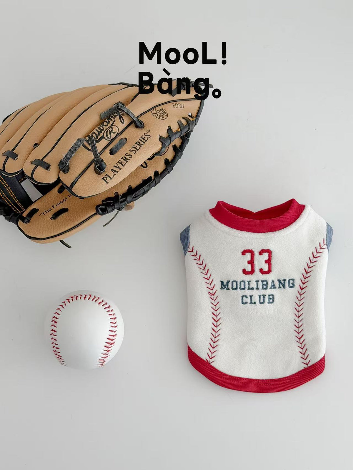 "Baseball Diary" Dog Jumper