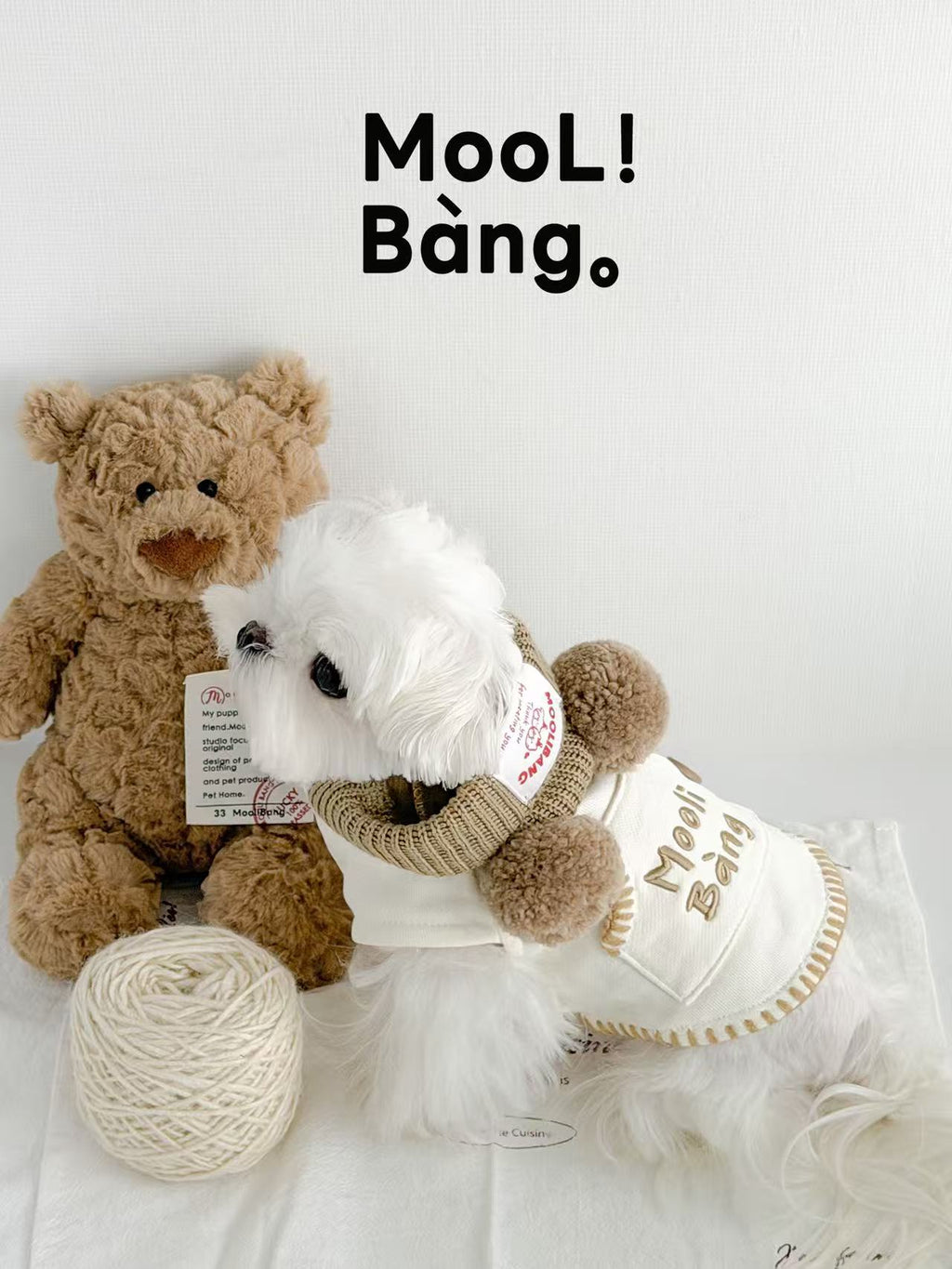 Kapuzenpullover für Hunde „Rilakkuma Bär“