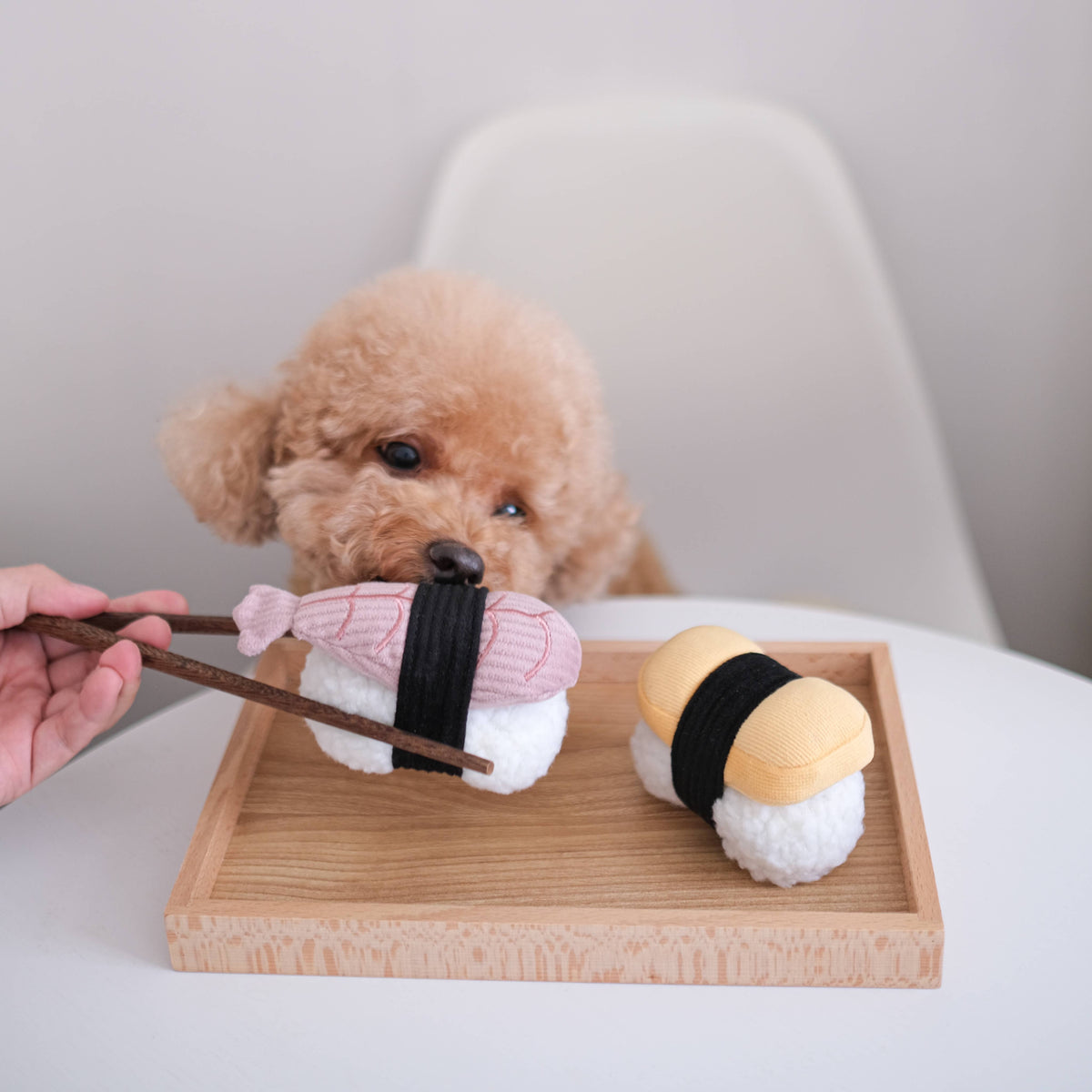 Dog Snuffle Toy with Squeaker SUSHI – Lambwolf Collective