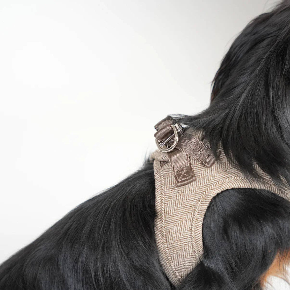 Saga Step-In Dog Harness | Mocca: M