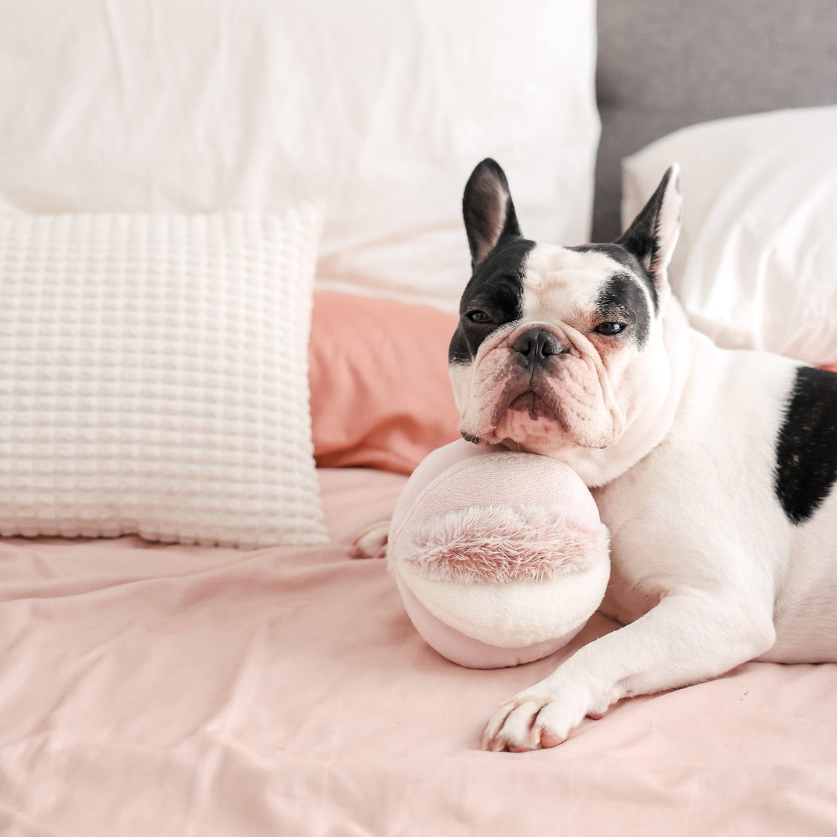 Dog Snuffle Toy TOTO Pink – Lambwolf Collective
