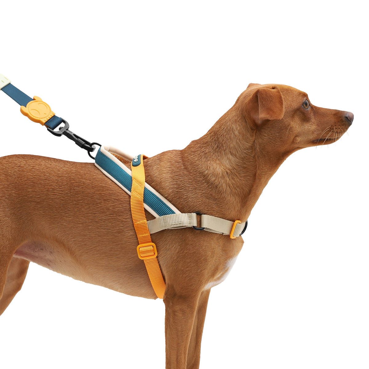 Softer-Walk Voyage Norwegian Harness