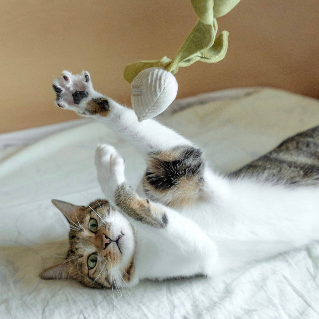 Catnip Toy KITTY RADISH Beetroot – Lambwolf Collective