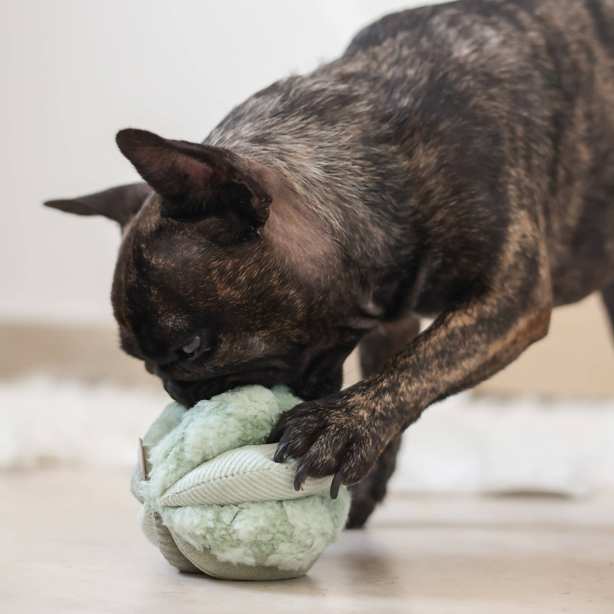 Dog Enrichment Toy TOTO Small Green – Lambwolf Collective