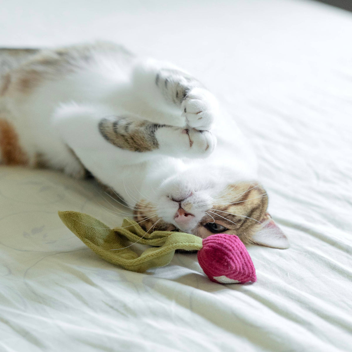 Catnip Toy KITTY RADISH Beetroot – Lambwolf Collective