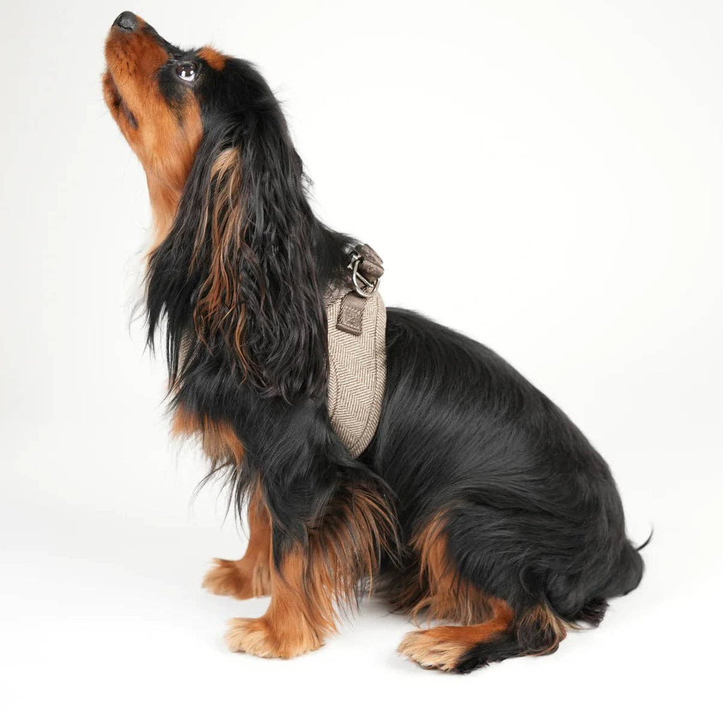 Pettorina Step-In Saga Mocca – Staey