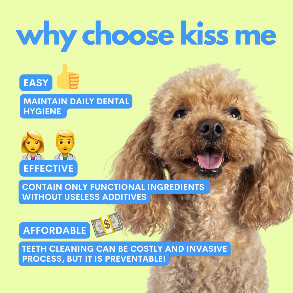 Kiss Me Dog Dental Spray 100 ml – JAMPY