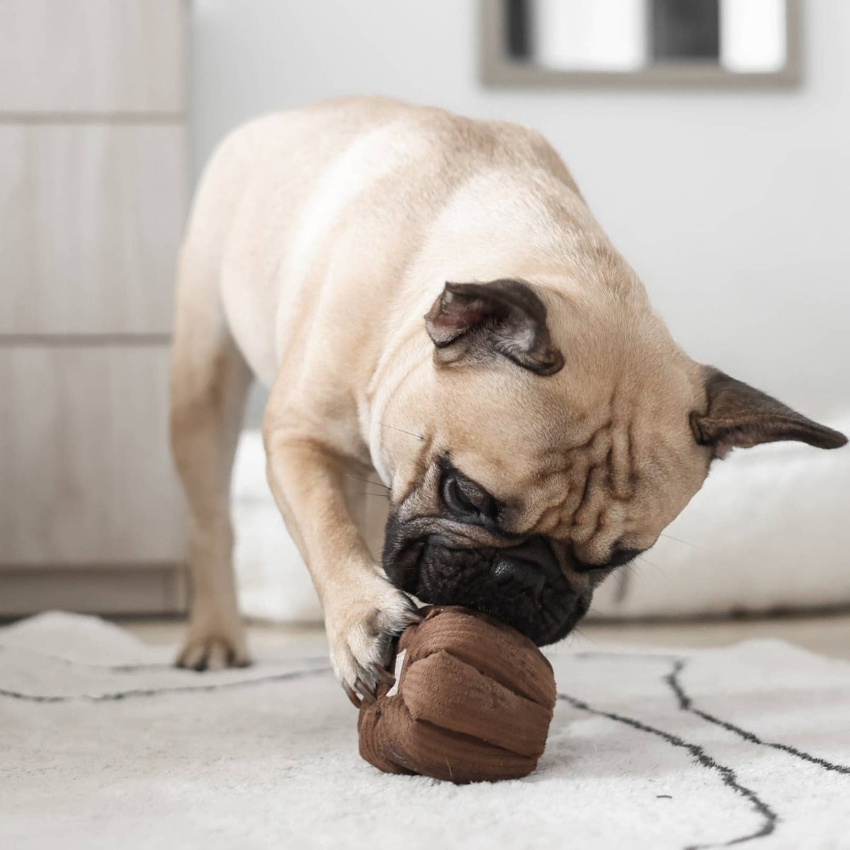 Gioco olfattivo con squeaker per cani CANELÉ – Lambwolf Collective