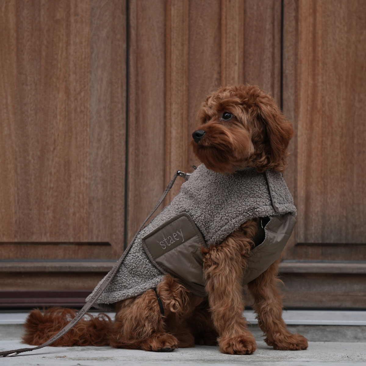 Teddy Dog Coat | Taupe: L