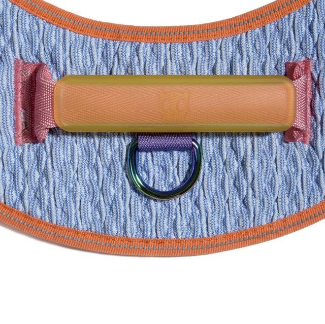 Harness with Handle - Flyharness Galaxy