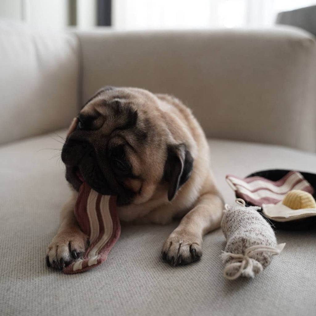 Bfast Set // ENRICHMENT DOG TOY
