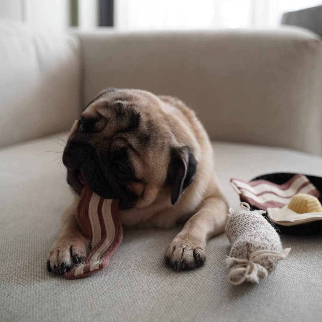 Bfast Set // ENRICHMENT DOG TOY