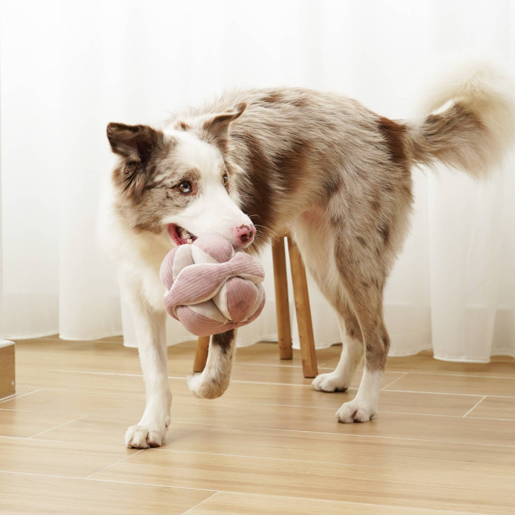 Dog Snuffle Toy MONTI Silent Purple – Lambwolf Collective