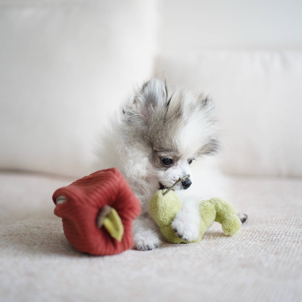 Gioco di arricchimento per cani APPLE – Lambwolf Collective