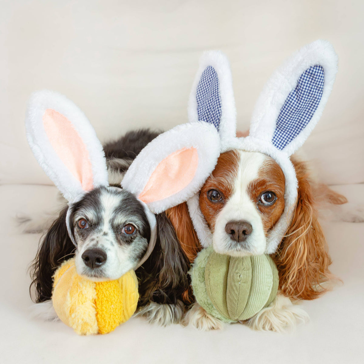 Dog Enrichment Toy TOTO Small Green – Lambwolf Collective