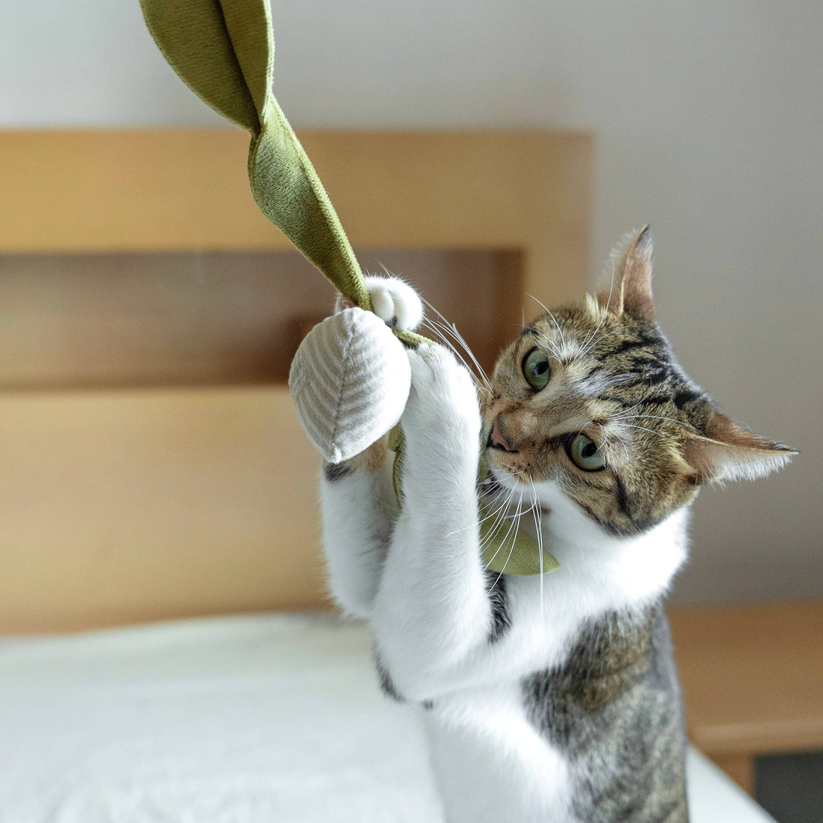 Catnip Toy KITTY RADISH Beetroot – Lambwolf Collective