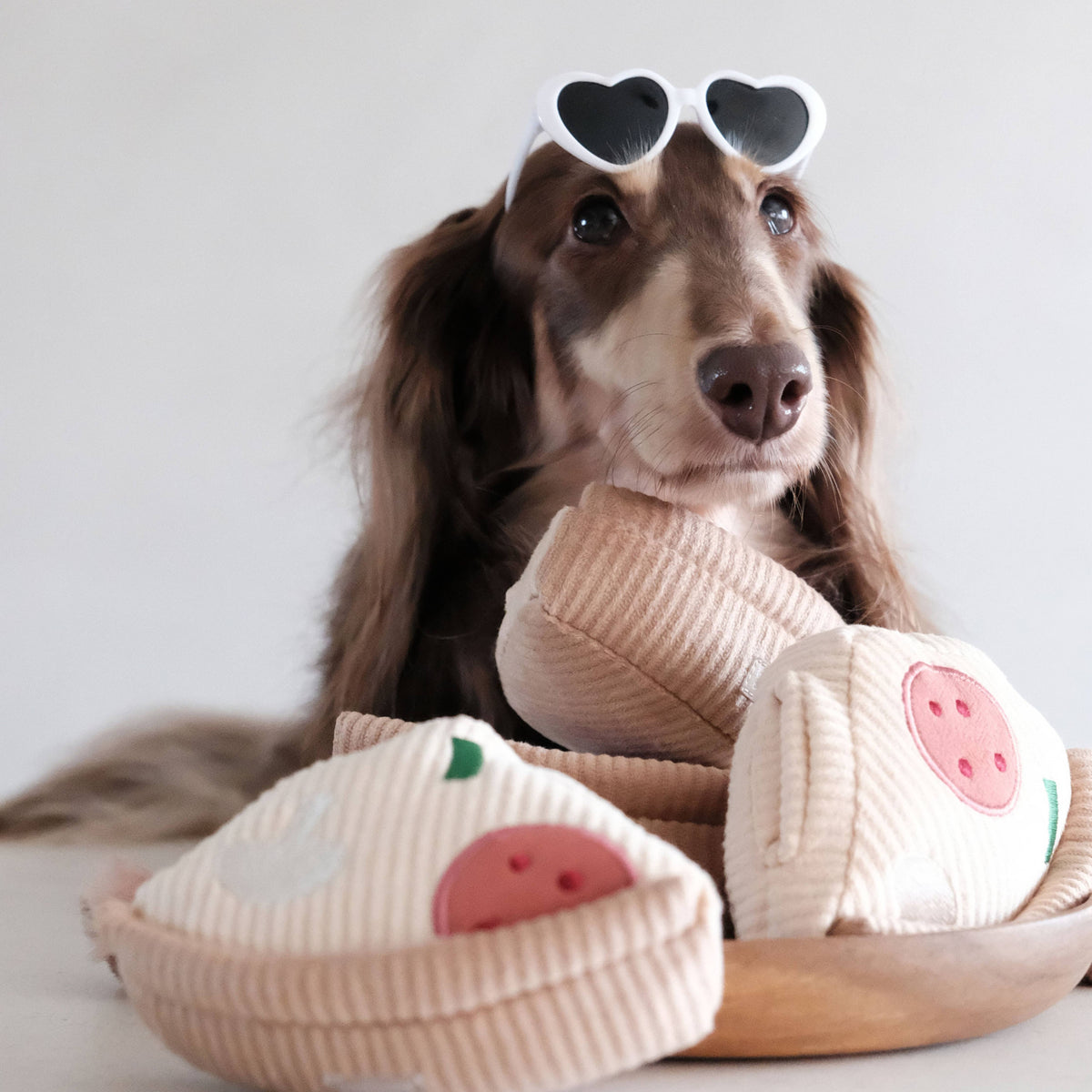 Deep Dish Pizza Snuffle Dog Toy for Enrichment
