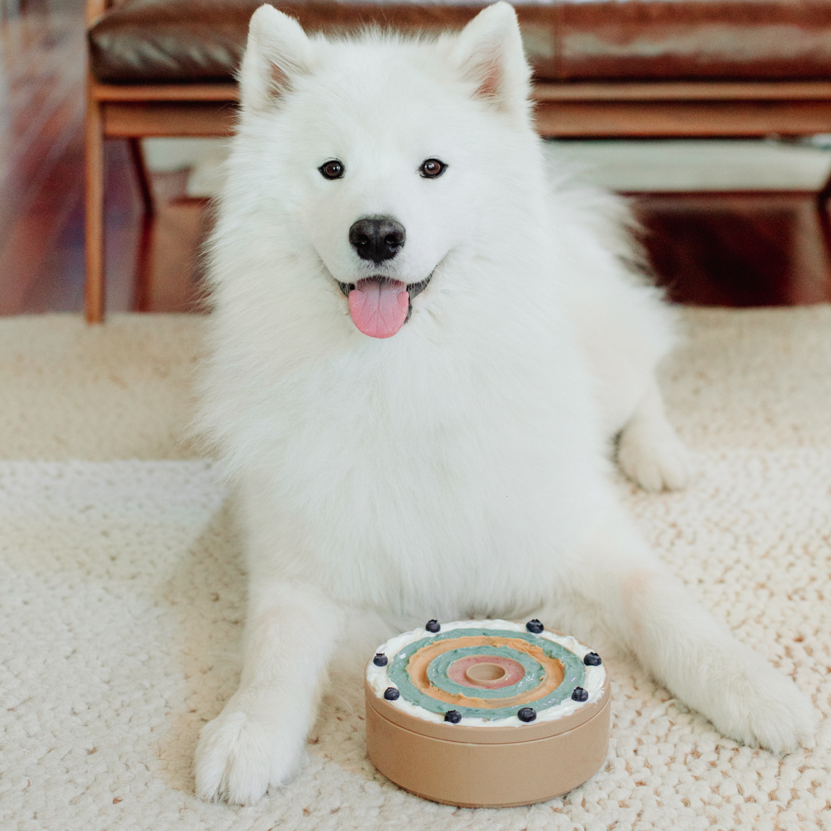 3-IN-1 BENTO: Lick Mat and Slow Feeder Combined: DUNE