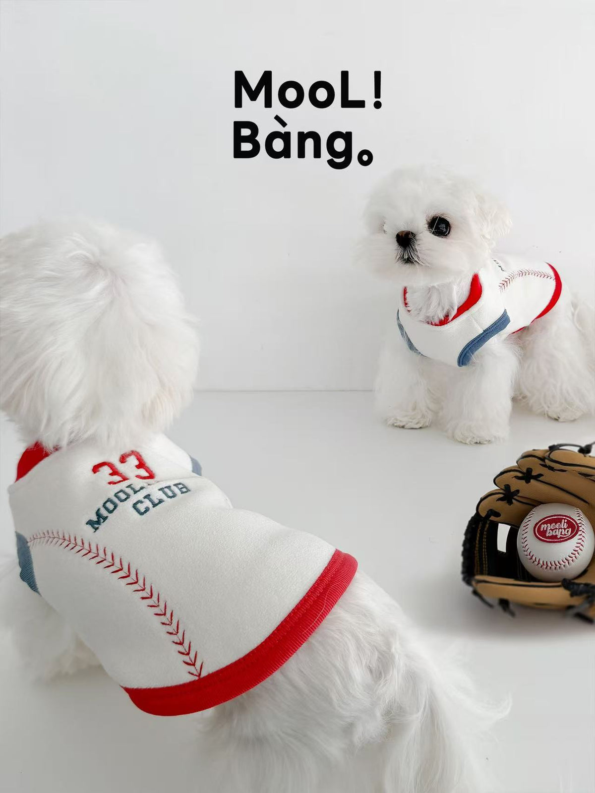 "Baseball Diary" Dog Jumper