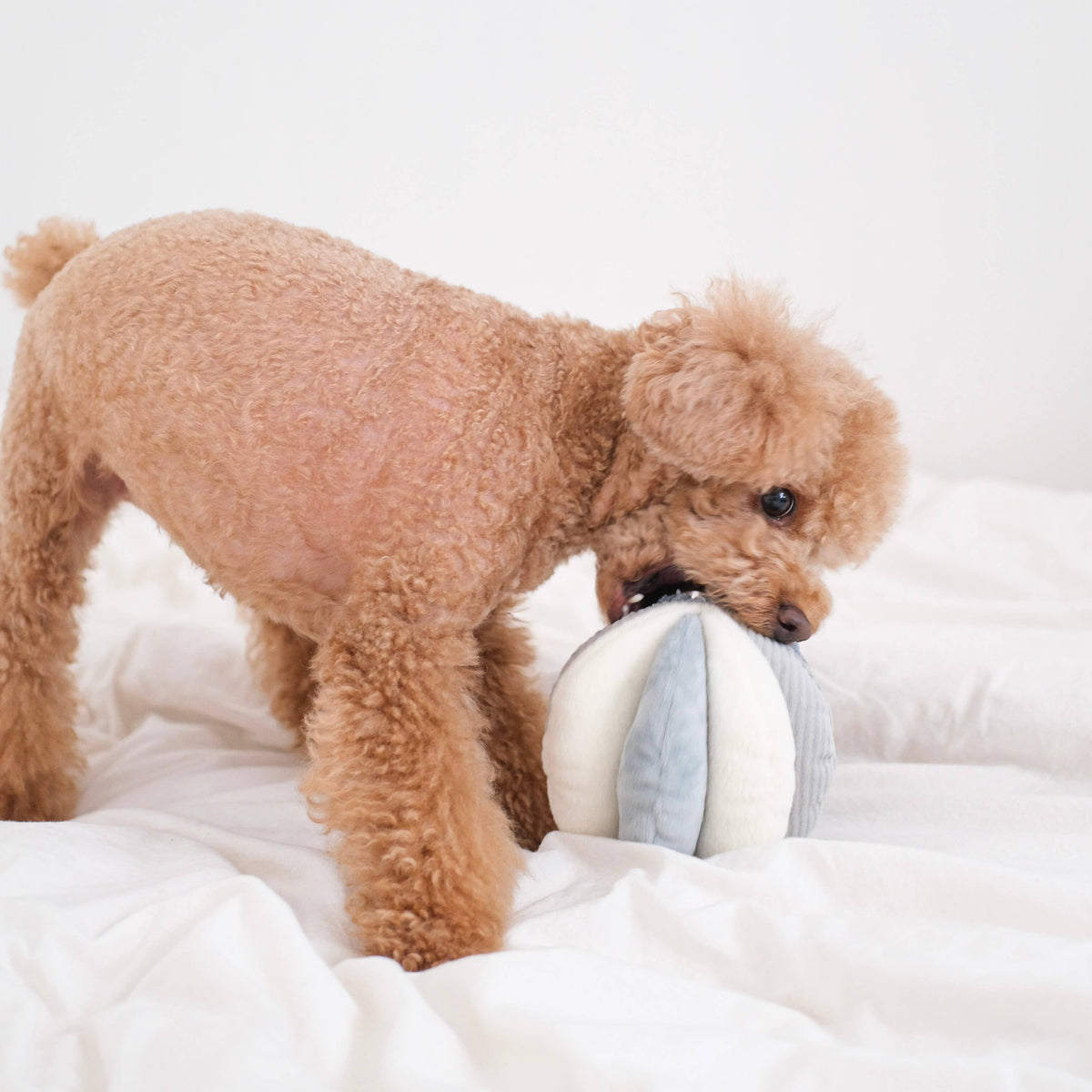 Dog Snuffle Toy TOTO Pink – Lambwolf Collective