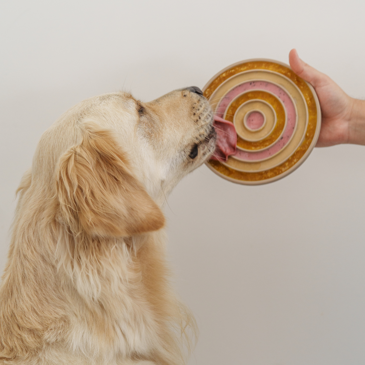 3-IN-1 BENTO: Lick Mat and Slow Feeder Combined: DUNE