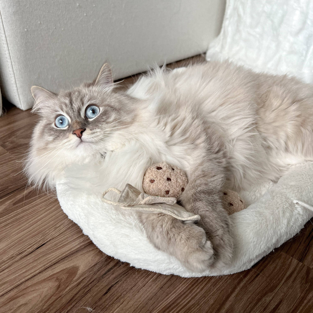 KITTEN'S TEA TIME