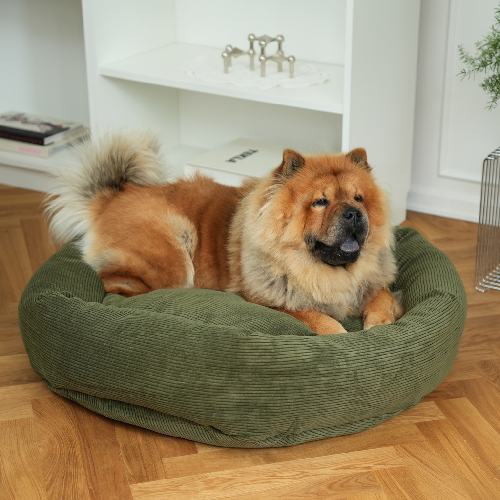Luna 3.0 Dog Bed in Moss Green Corduroy: Small Plus