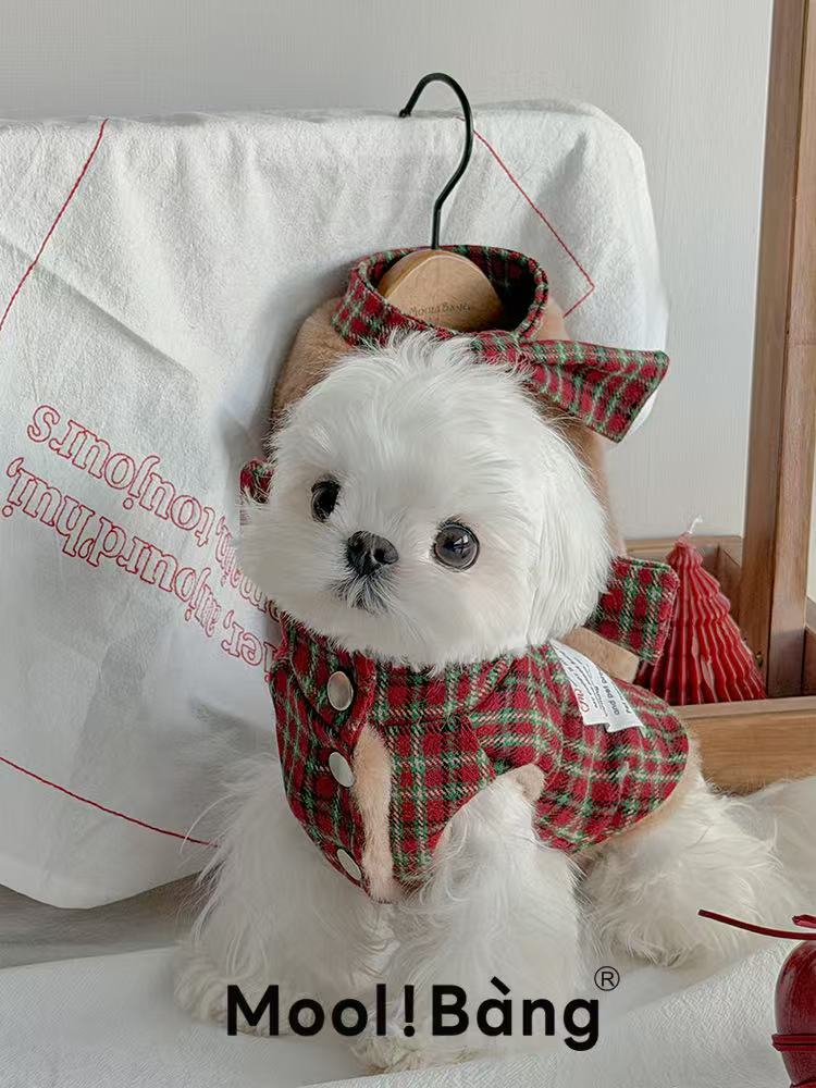 "Double Gifts" Dog Jumper