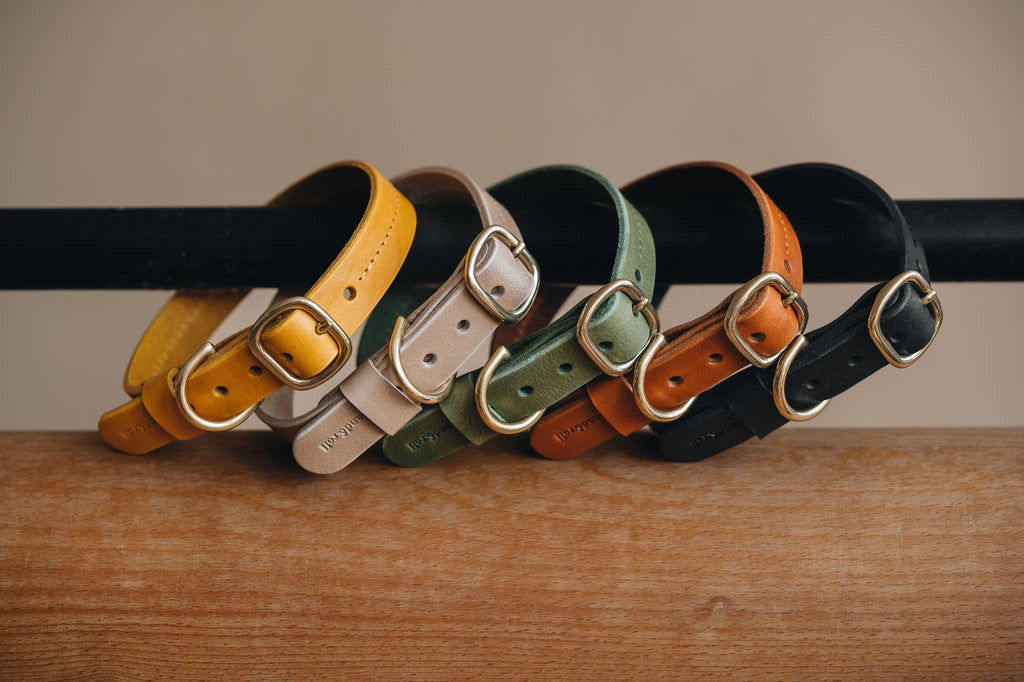 Fir Leather Dog Collar Brown, Size XS – BAND&ROLL