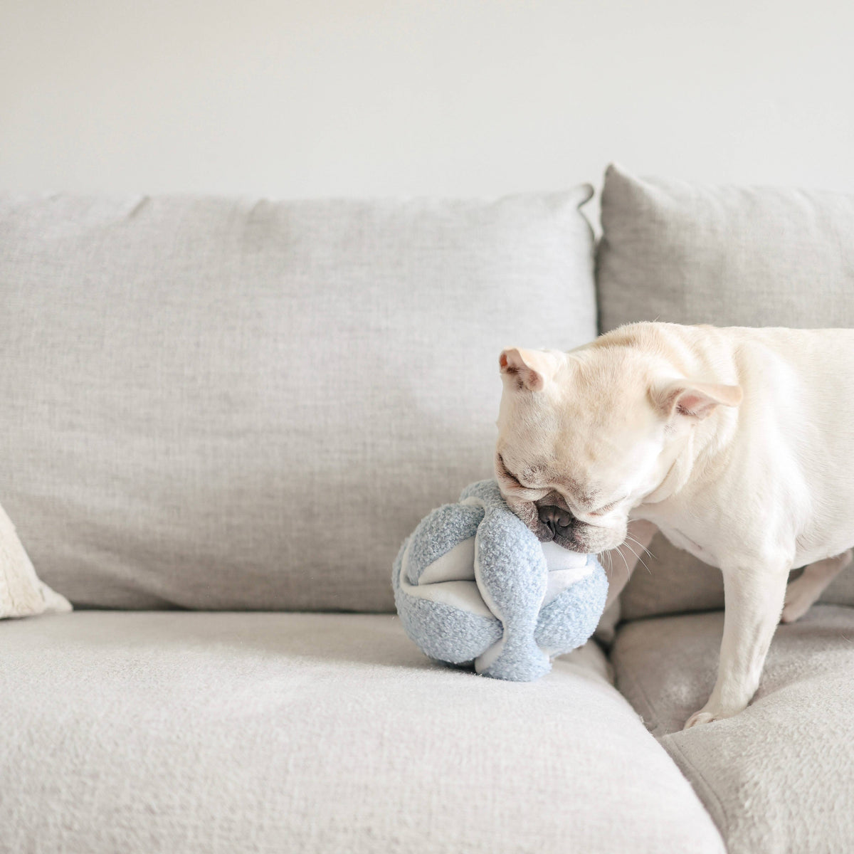 Schnüffelspielzeug für Hunde MONTI Hellblau – Lambwolf Collective
