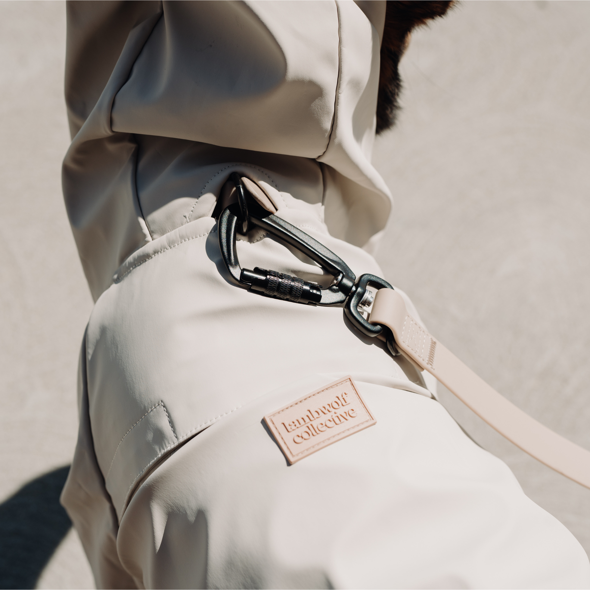 BRIGHTON foldable waterproof: XL