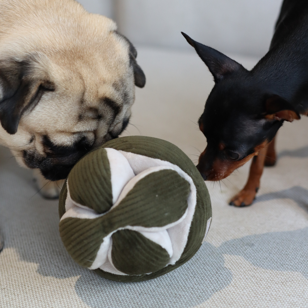 Schnüffelspielzeug für Hunde MONTI Mint – Lambwolf Collective