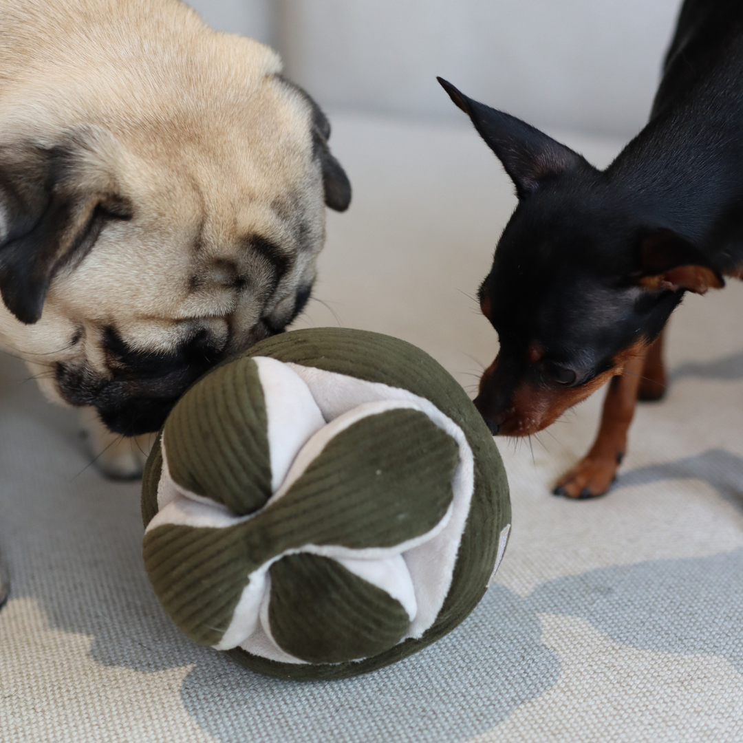 Schnüffelspielzeug für Hunde MONTI Mint – Lambwolf Collective