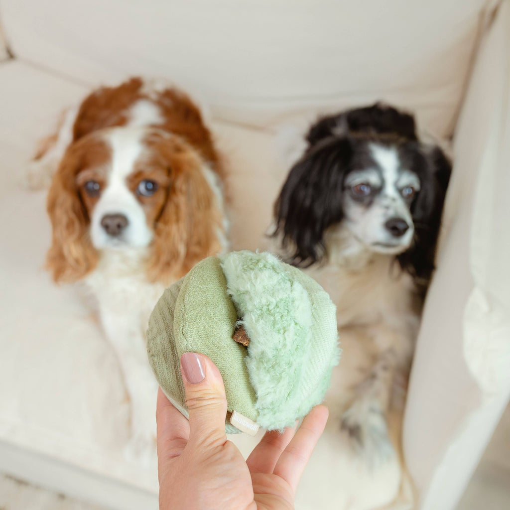 Dog Enrichment Toy TOTO Small Green – Lambwolf Collective