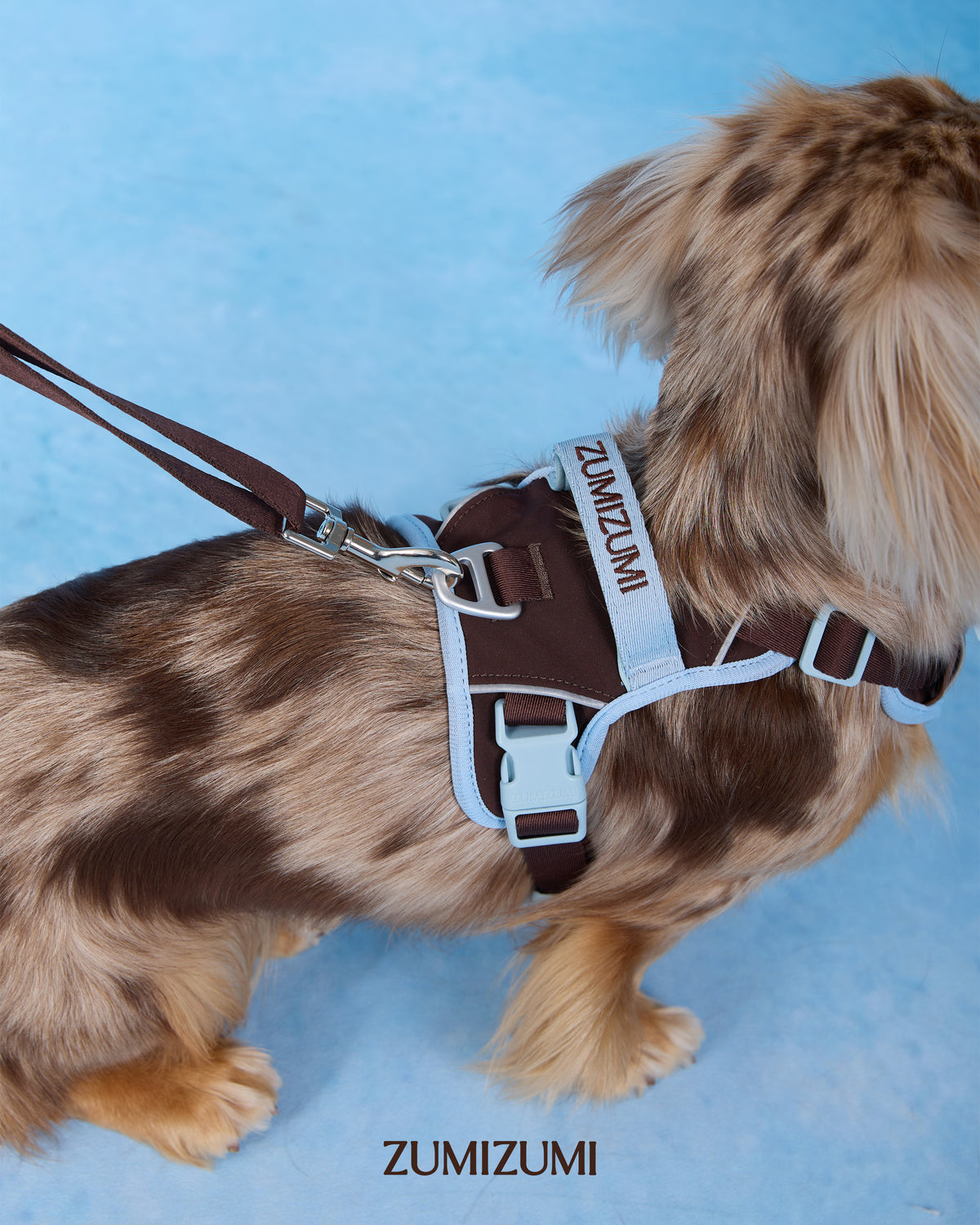 Chelsea Step-In Harness Brown/Blue – Zumizumi