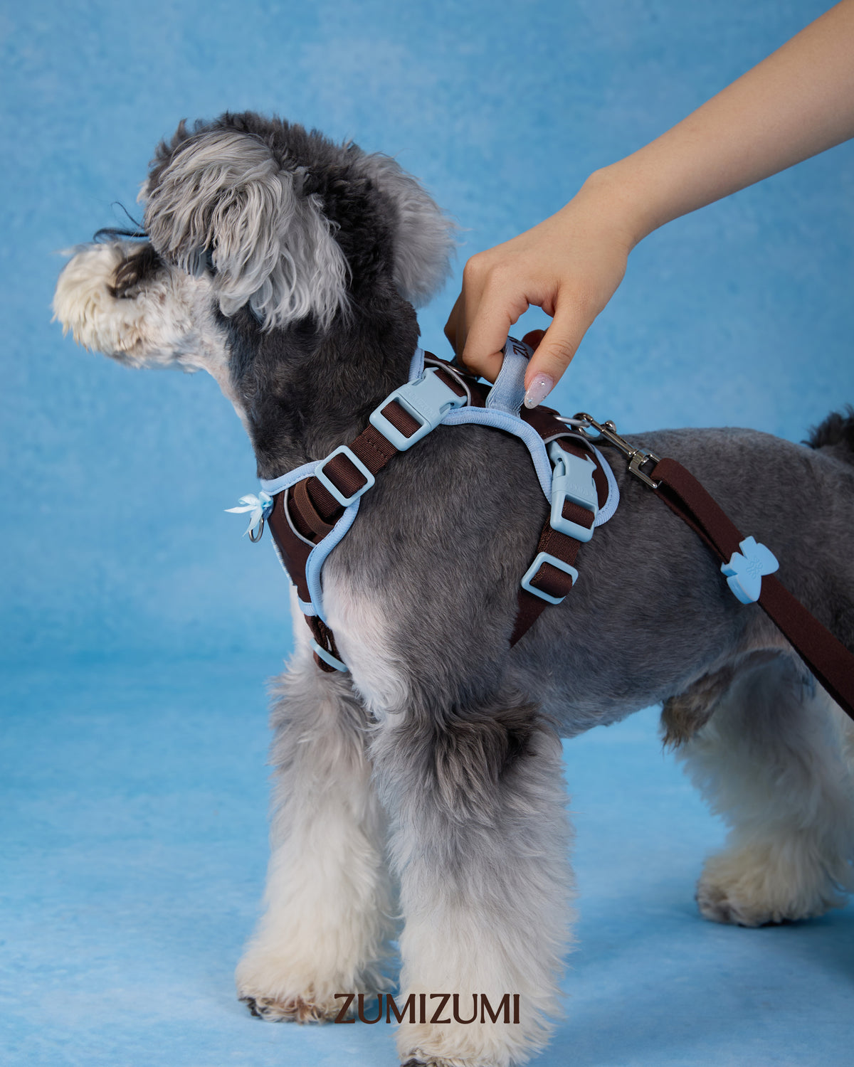 Chelsea Step-In Harness Brown/Blue – Zumizumi