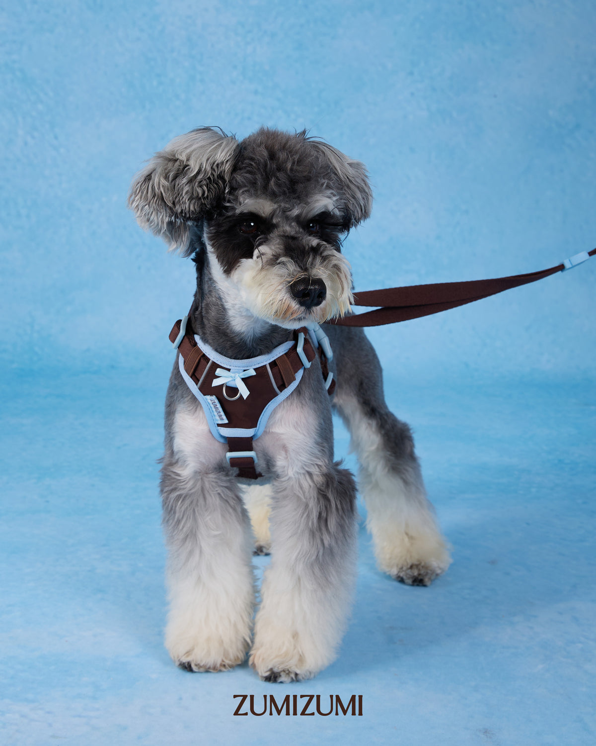 Chelsea Step-In Harness Brown/Blue – Zumizumi